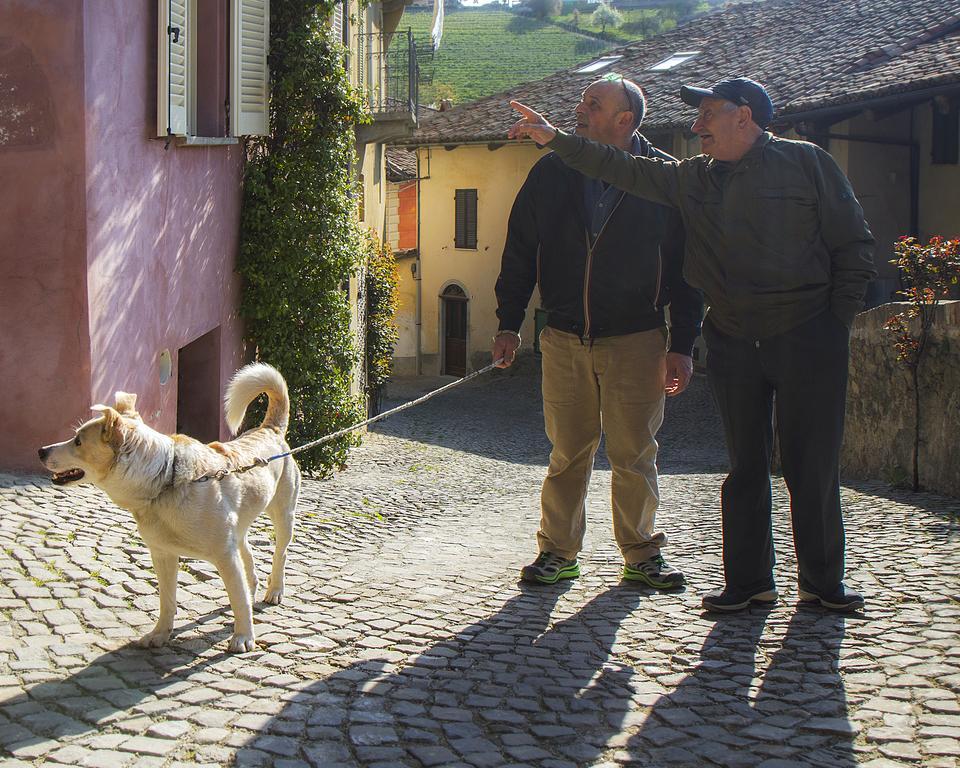 Dimora I Manichei Hotel Monforte dʼAlba Kültér fotó
